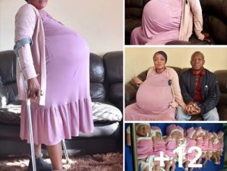 37 Year old South African woman,10 years without a child, gives birth to 10 babies (7 boys and 4girls)