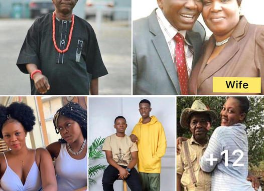 See the beautiful wife, 2sons and pretty daughters of nollywood legend Chiwetalu Agu (Photos)
